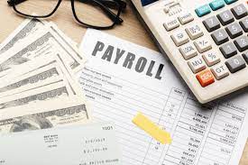How To Use Professional Payroll Services